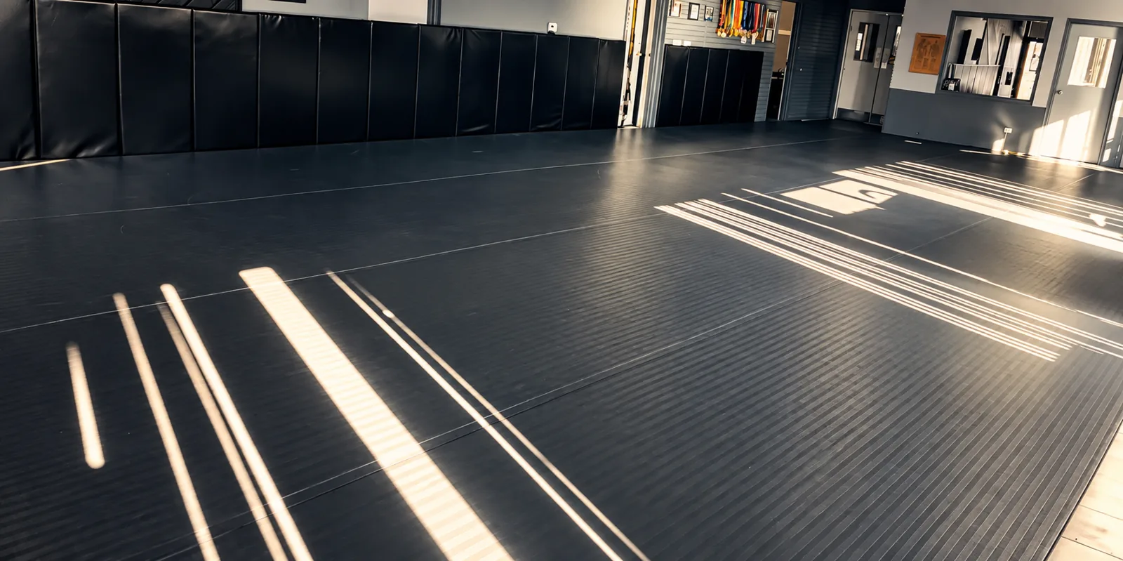The Apex House of Grappling mat room with afternoon sun across the mats
